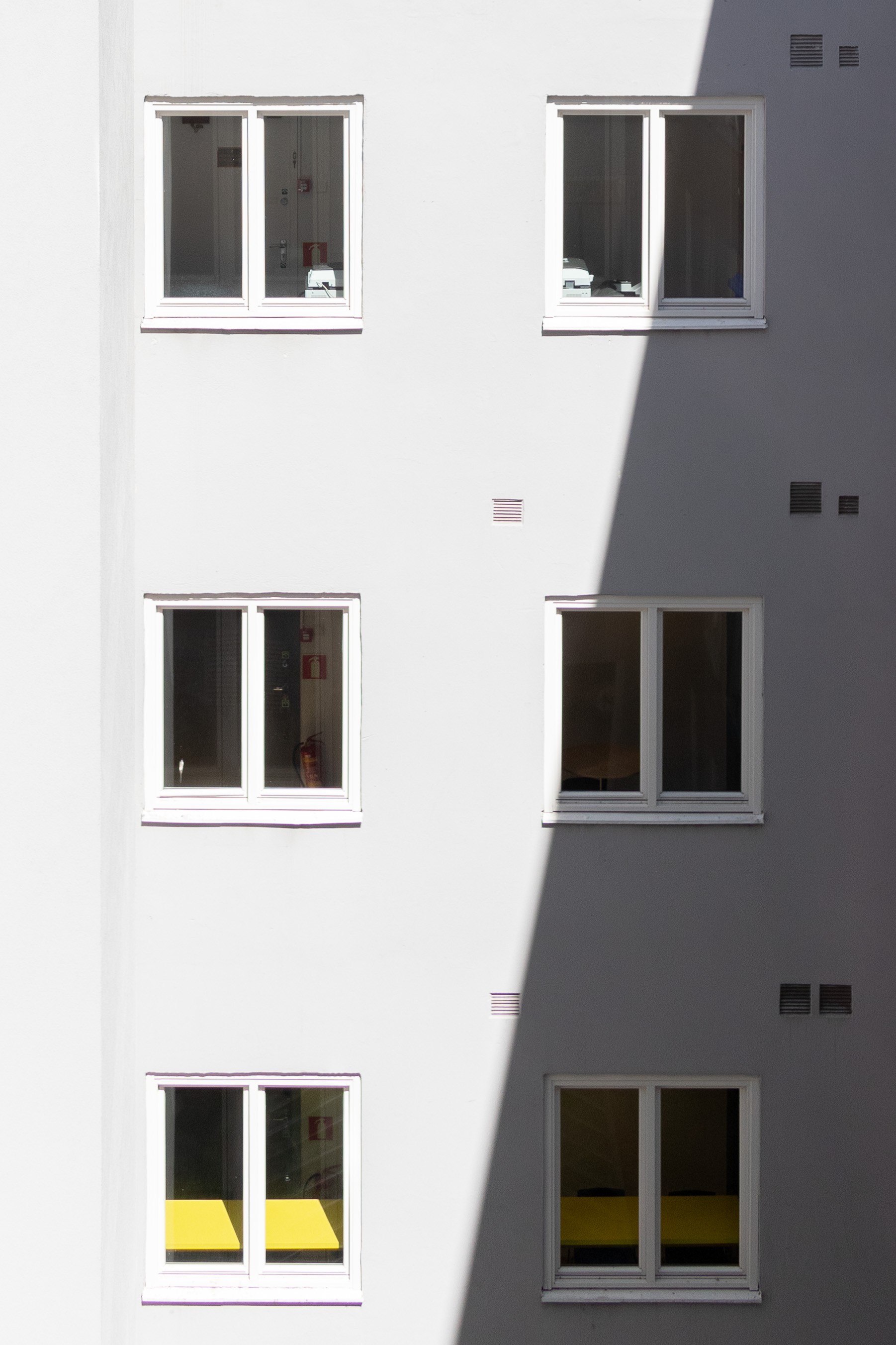 måker i Bjørvika